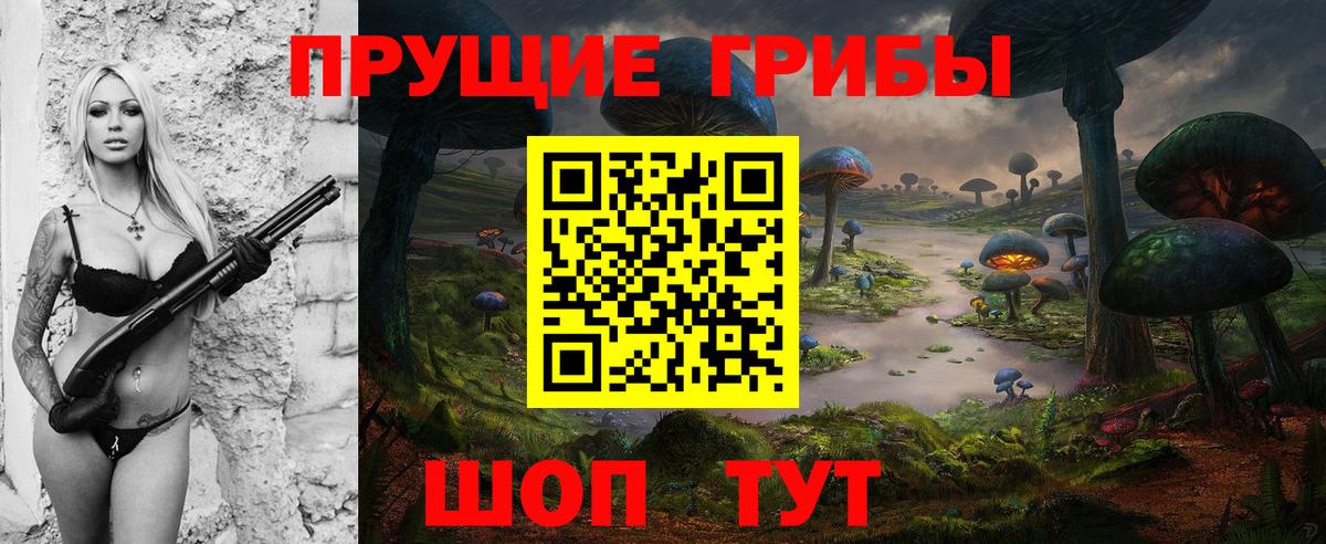 Будённовск  Псилоцибиновые грибы GOLDEN TEACHER  Псилоцибиновые грибы Psilocybe  Вход с VPN 